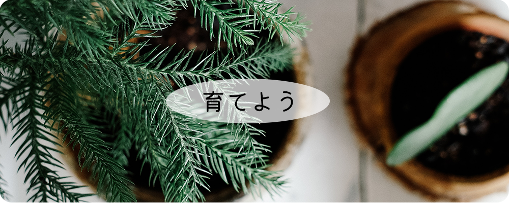 育てよう