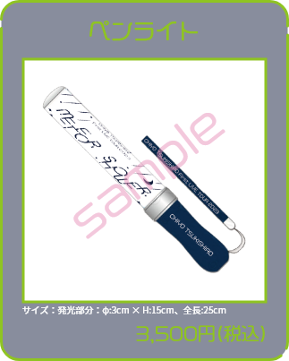 ペンライト3,500円