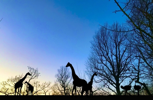 夜の動物園ツアー