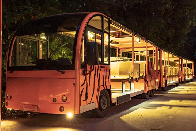 夜の動物園のバス