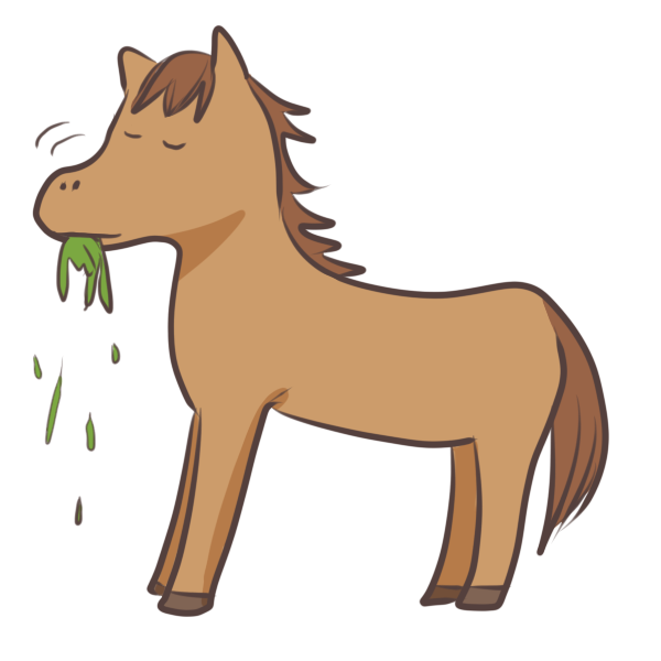 馬
