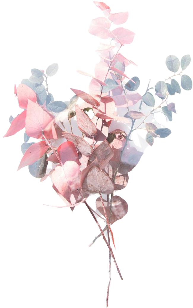 花束