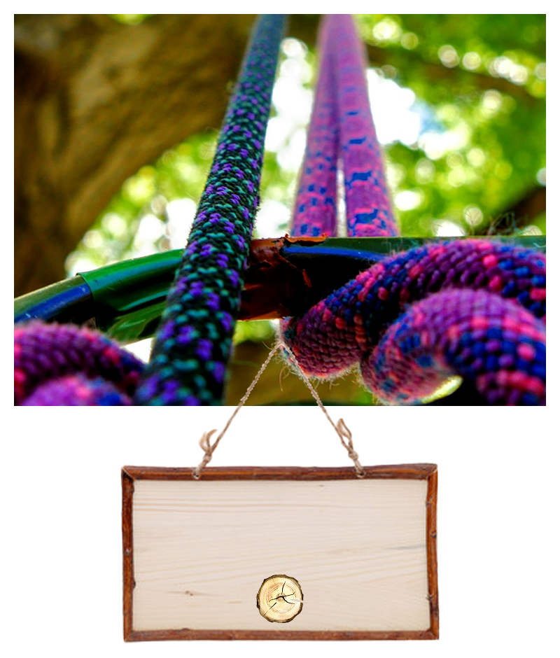 treeClimbing