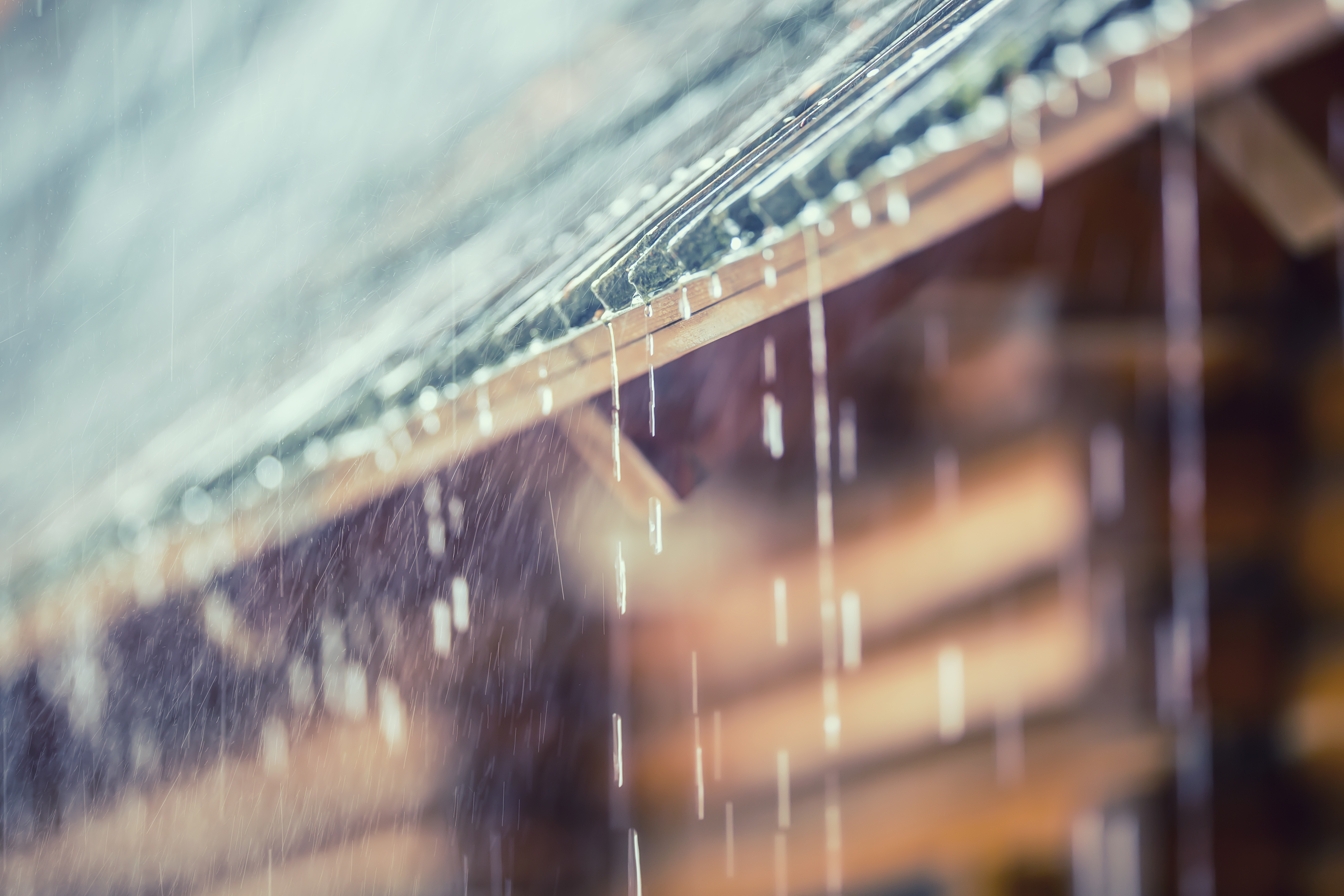 瓦屋根を雨が伝う風景
