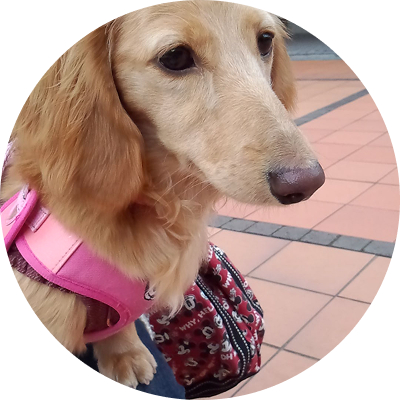 プロフィール写真