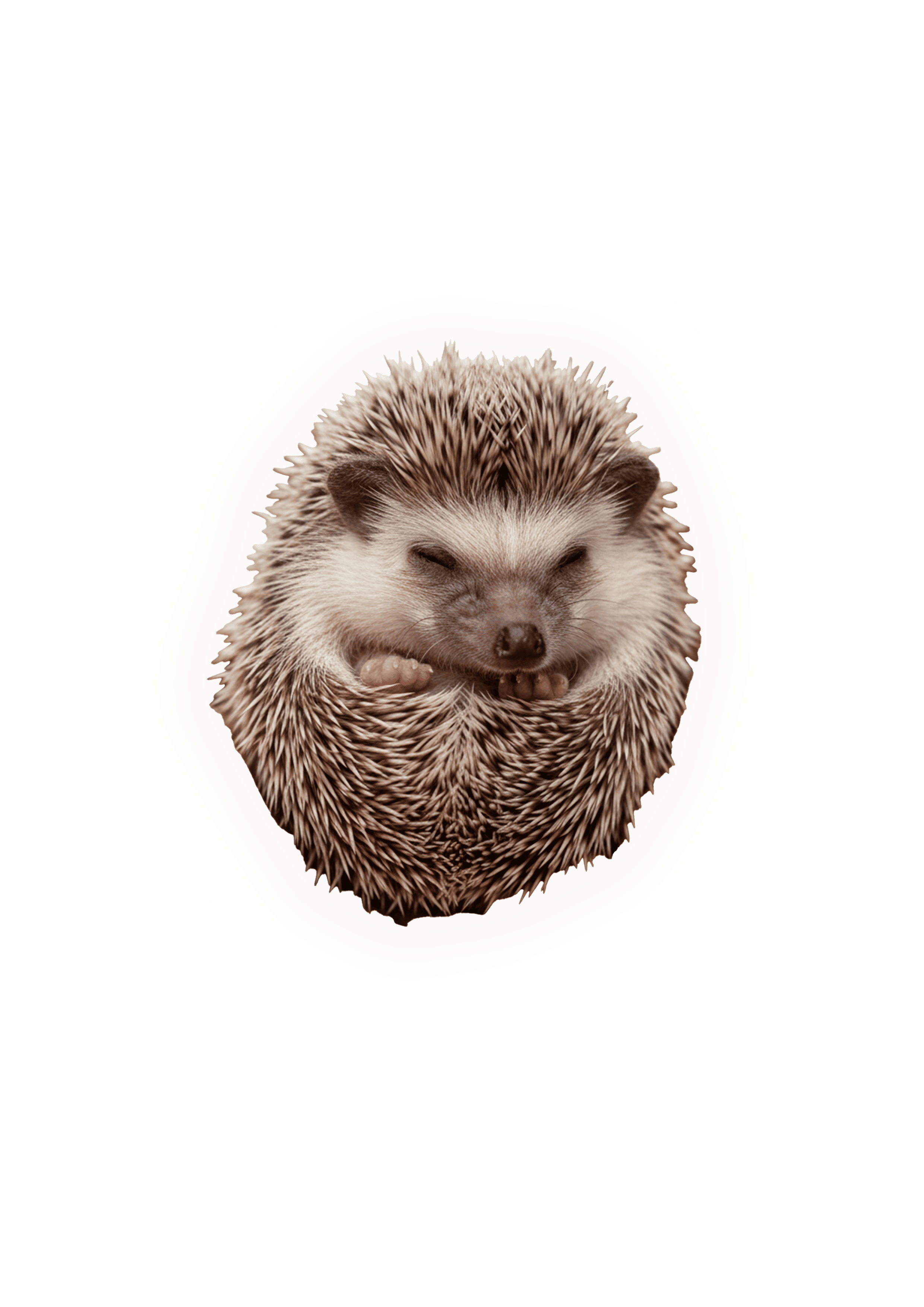 装飾
