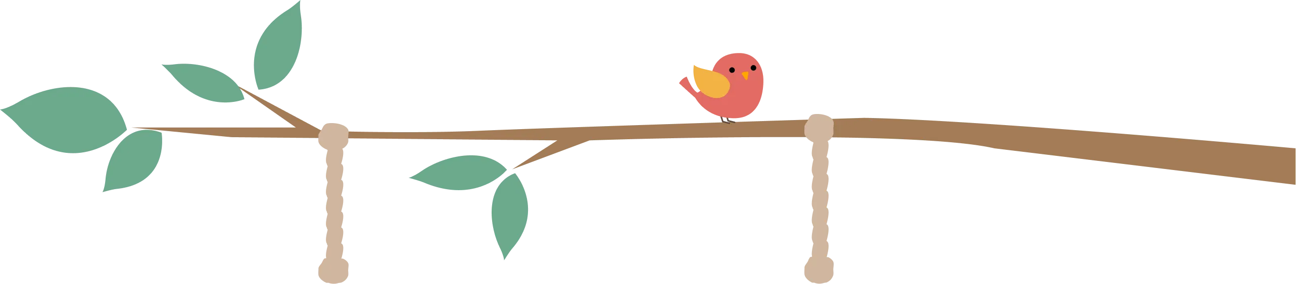 枝