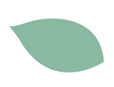 はっぱ