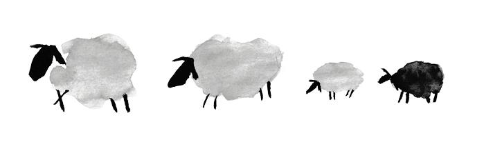 sheep