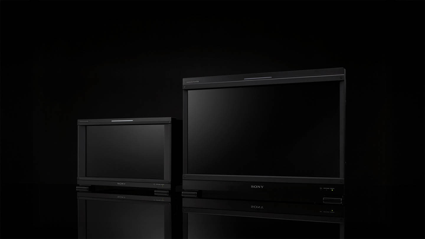 BVM-E250