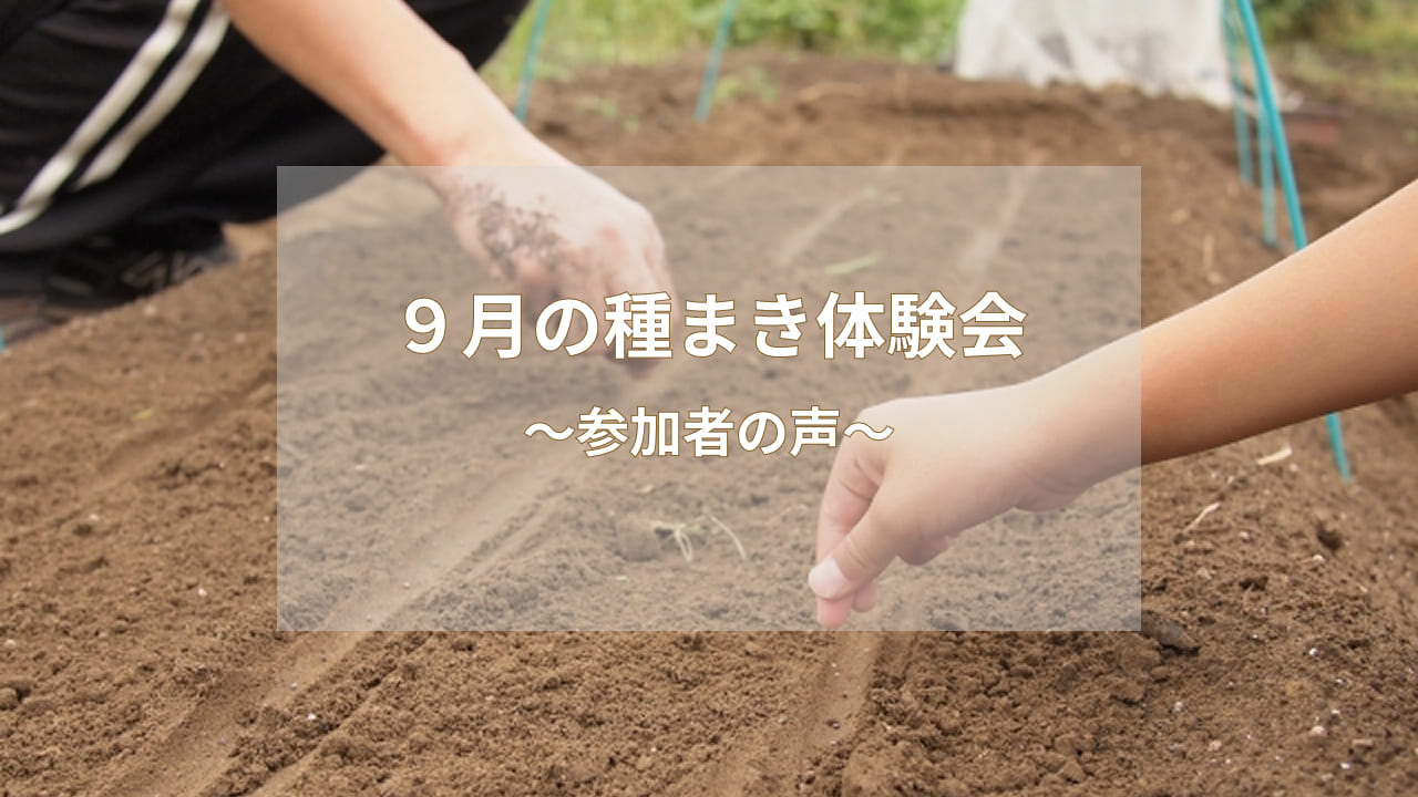 9月の種まき体験会のお知らせ