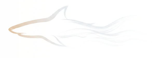 SAMEROKU SHARK